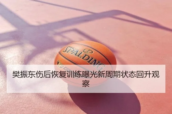 樊振东伤后恢复训练曝光新周期状态回升观察