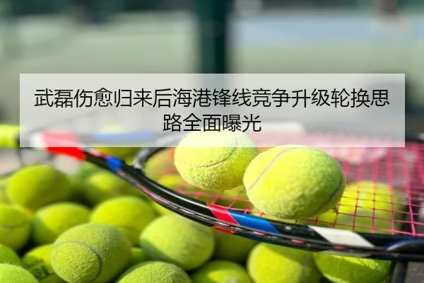 武磊伤愈归来后海港锋线竞争升级轮换思路全面曝光