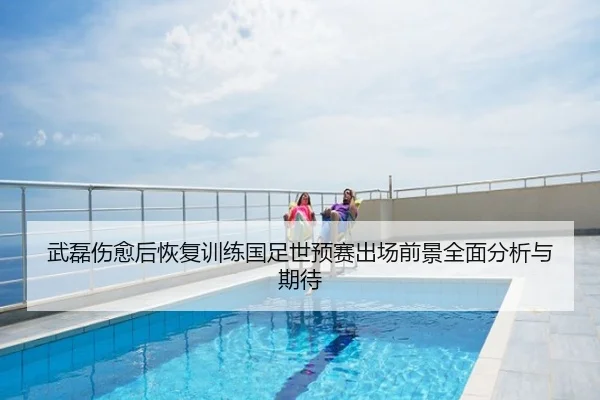 武磊伤愈后恢复训练国足世预赛出场前景全面分析与期待